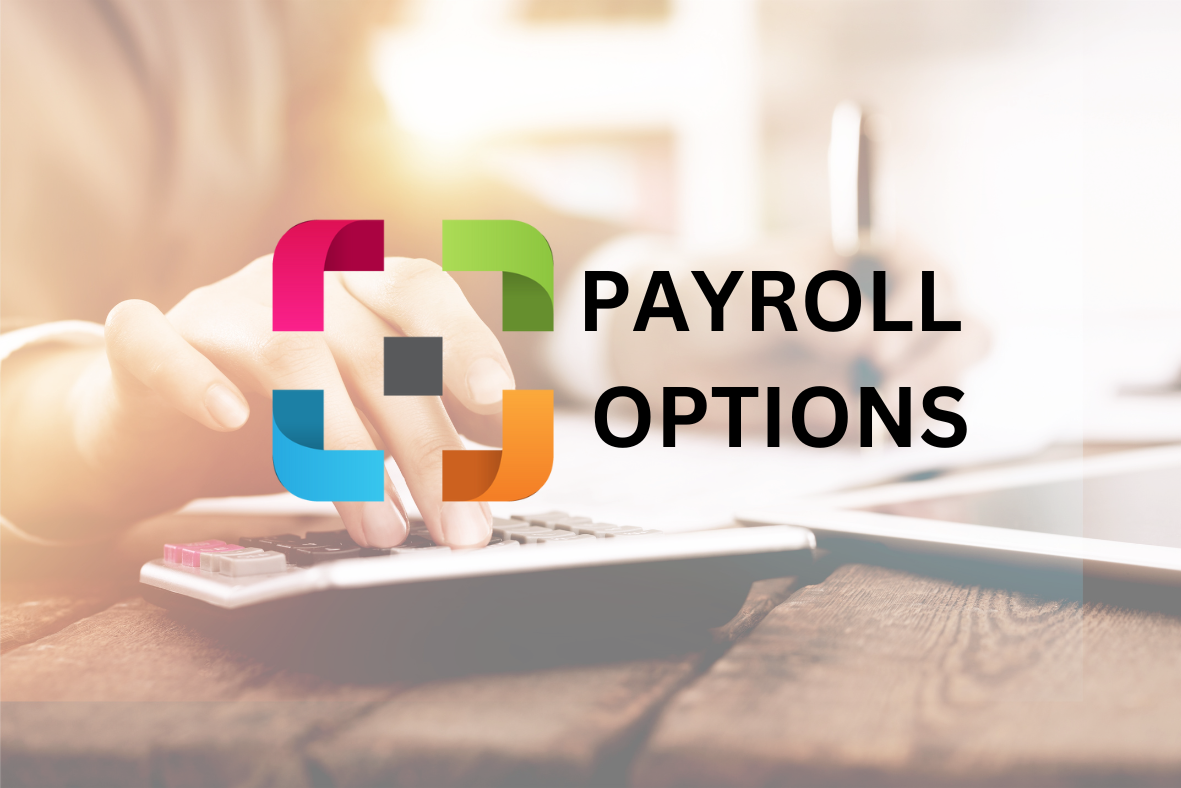 Bitrix24 Case Study Payroll Options